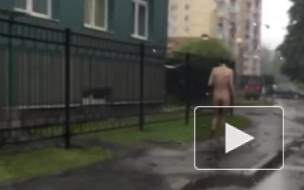 ТОП-5 голых петербуржцев этого лета: доморощенный терминатор, разврат в банке, садомазохист на Невском