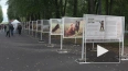 В Приморском парке Победы открылась благотворительная ...
