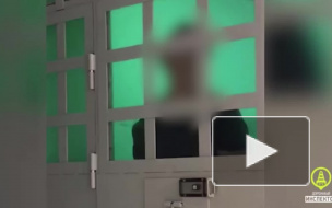 Пьяных петербуржцев задержала полиция за драку в "Макдональдсе"