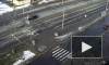 Видео: На Гатчинском шоссе внедорожник сбил собаку 