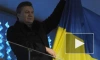 Украина примет участие в Паралимпиаде в Сочи