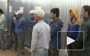 Толстопальцевец фиктивно поставил на учет 1242 иностранных гражданина из Средней Азии, Армении, Азербайджана
