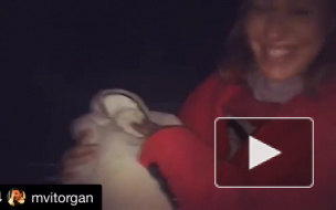 Новоиспеченные родители: Собчак и Виторган выложили в сеть видео с выпиской из роддома