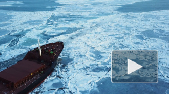 Эксперты прокомментировали отказ западных компаний от Севморпути