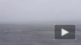 Появилось видео "снежного шторма" на Финском заливе