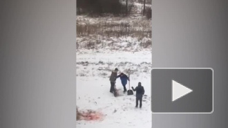 Живодер в Сельцо стрелял в собаку