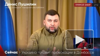 Глава ДНР Пушилин: в Донбассе скопилось 120 тысяч украинских военных