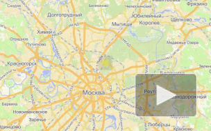 В Москве букмекера расстреляли на рабочем месте