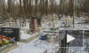 Под Петербургом возле кладбища найдены мертвыми брат и сестра