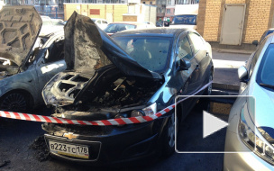 Поджигателя машин на Просвещения сняли видеокамеры