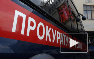 Петербуржцы просят прокурора Литвиненко избавить город от агрессивной рекламы борделей