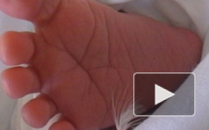 Мертвый младенец найден в Петербурге на Партизана Германа