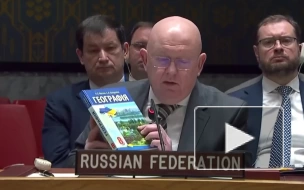 Небензя спросил постпреда Франции в СБ ООН, знает ли он о своем украинском происхождении