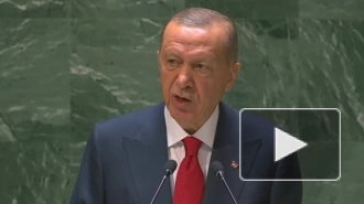 Эрдоган призвал расширить состав постоянных членов СБ ООН