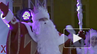 Дед Мороз зажег на главной новогодней елке Петербурга
