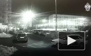 СК показал видео, как убийца избавлялся от двух тел в московском лесу