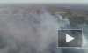 Площадь торфяного пожара в Костромской области превысила 45 гектаров