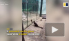 В Китае обезьяна пыталась сбежать из зоопарка при помощи камня и смекалки