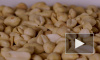 Ученые обнаружили в кишечнике спусковой механизм аллергии на арахис