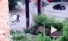 Появилось видео, как неадекватный мужчина бросался с ножом на прохожих в Нефтяниках