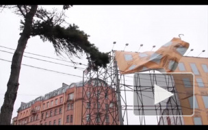 Петербург будет два дня трепать сильный ветер