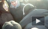 Воспитанник психинтерната потерял сознание на пропутинском митинге в Петербурге