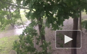 Ужасный ливень обрушился на Петербург