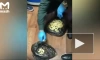 Таможенники во Внуково задержали россиян с килограммом кокаина в желудке