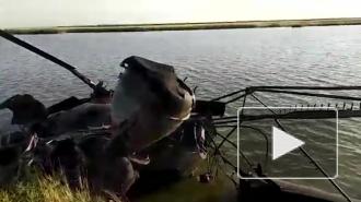Пострадавшего в ЧП с вертолетом в Ростовской области госпитализировали