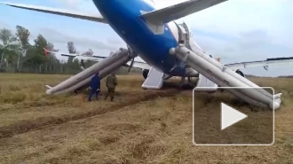 Пилот севшего в поле под Новосибирском самолёта – о последствиях ЧП