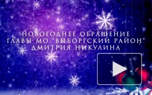 Дмитрий Никулин поздравил выборжцев с Новым годом и Рождеством