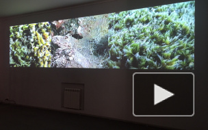 В Петербурге завершилась выставка исландского видеоарта в рамках "Послания к человеку"