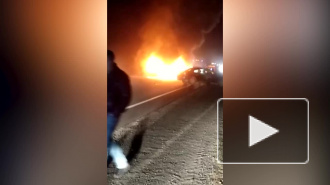 На Мурманском шоссе в смертельном ДТП погибли люди