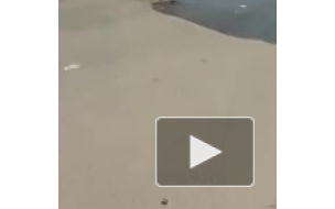 Канализационную катастрофу снял на видео ростовчанин 