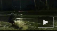 Видео: петербуржец прокатился на вейкборде по затонувшему ...