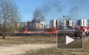 Видео: у озера Долгое горит сухая трава