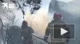 В поселке под Екатеринбургом локализовали пожар площадью ...