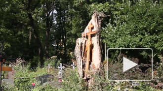 Погибшими детьми в Таиланде оказались брат и сестра из Челябинской области