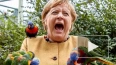 На Меркель в парке Марлоу "напал" попугай