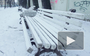 Дыхание Петербурга: удивительные события уходящей недели