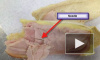В сэндвичах авиакомпании Delta обнаружены иглы