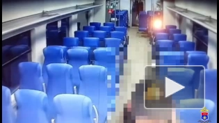 Пассажир "Ласточки", прибывший в Петербург из Новгорода, украл монитор