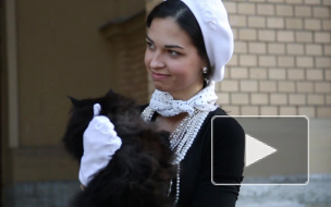 Актрисы мюзикла "Мастер и Маргарита" готовы обнажаться ради роли