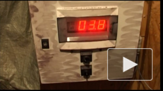 Жители Ленобласти массово воруют топливо 