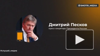 Песков: Путин получает информацию о ходе СВО из первых рук