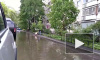 Видео: петербуржец решил прополоскать ковер в образовавшейся после дождя луже