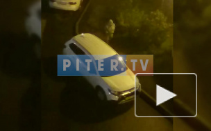 Пенсионерка прошлась тростью по припаркованным иномаркам во дворе на Маршала Захарова