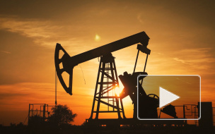 Пушков оценил начало поставок американского СПГ на Украину