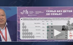 ВЦИОМ назвал распространенную среди молодежи причину не заводить детей