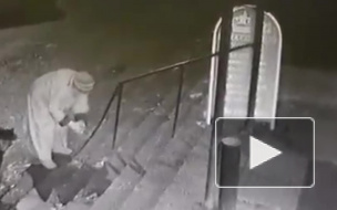 Видео: Петербурженка в пальто бросила собаку, привязав ее у ветклиники